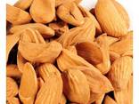 Almond nuts - фото 1
