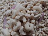 Cashew Nuts from Vietnam - фото 1