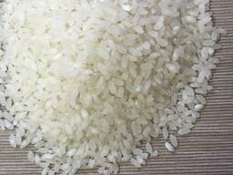 Medium grain rice, Camolino