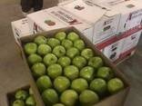 Package and packing of apple - boxes, corrugated boxes - photo 1