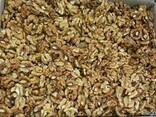 Продам орех грецкий оптом Nuts 1/2, 1/4, Mix. - фото 1