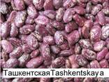 Quality 3D beans from Kyrgyzstan - фото 1