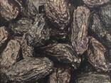 Слива сушеная (чернослив) сорт ИСПАН, с косточек Влажность от 20 до 24 % за кг 130 шт. - фото 2