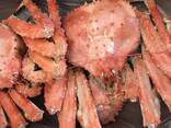 Whole red live king crabs - best quality frozen blue swimming crab for sale/ king crabs